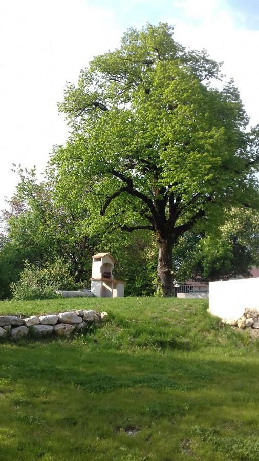 Résidence du Château Copponex Extérieur photo